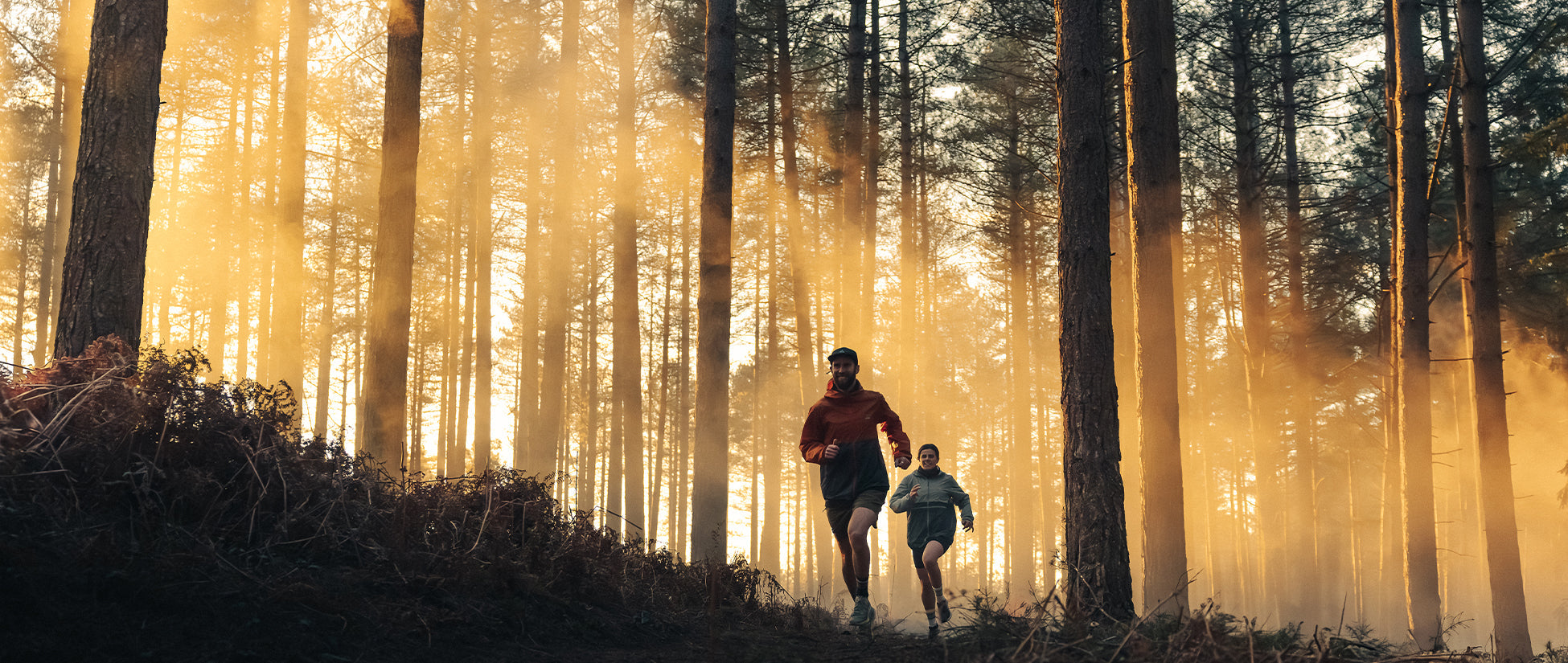 Two runners in a forest, dusk
