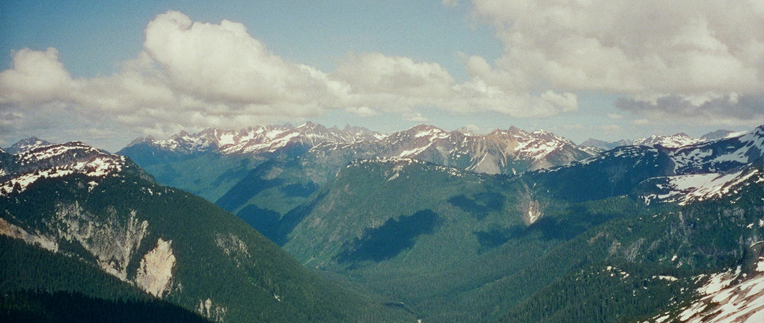 The Pacific Northwest - a snowy, forest landscape