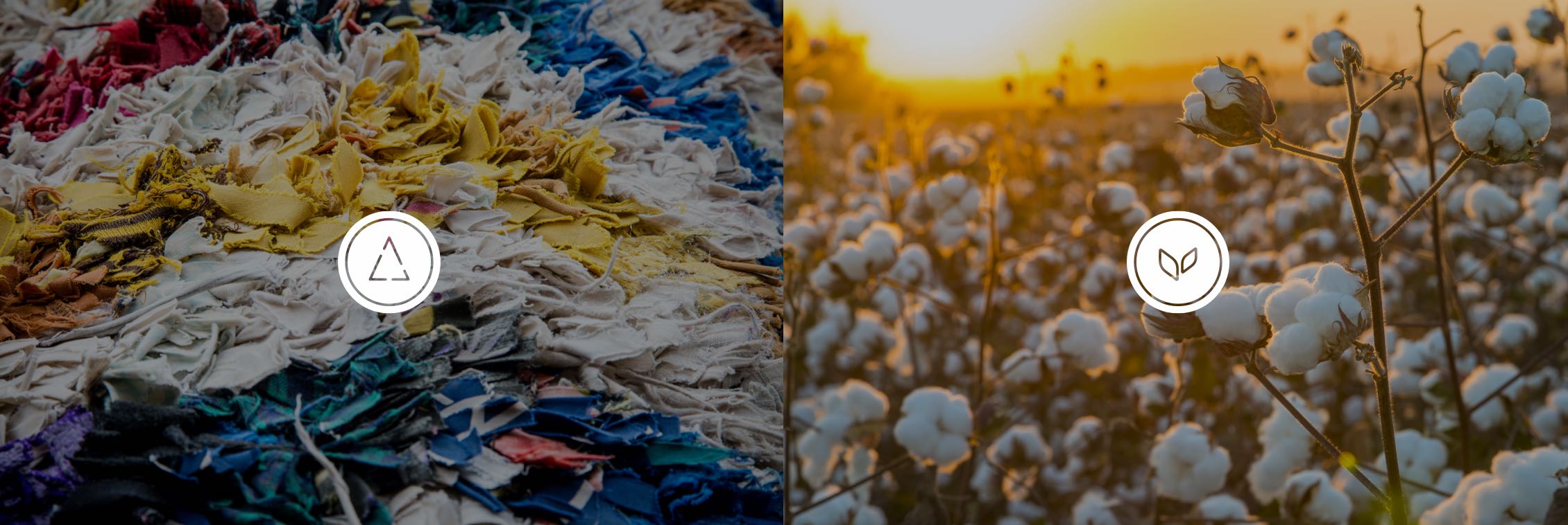 Recycled & Organic Collection